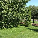 Ferienhaus Mit Garten *