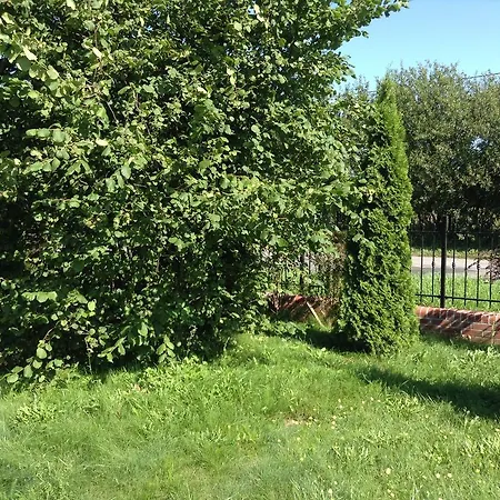Prázdninový dům Mit Garten *