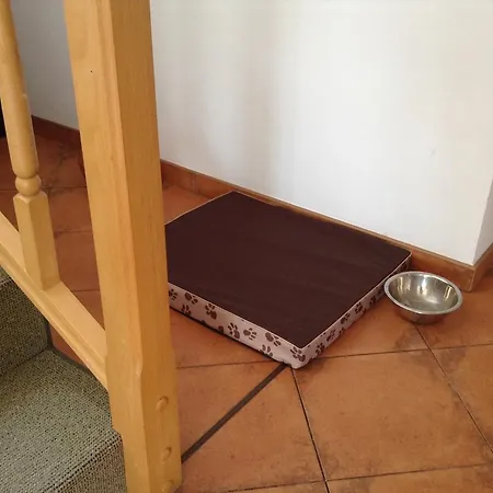 Mit Garten Štetín