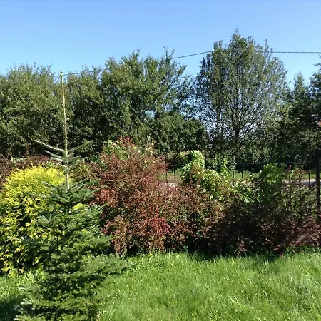 Haus Mit Garten