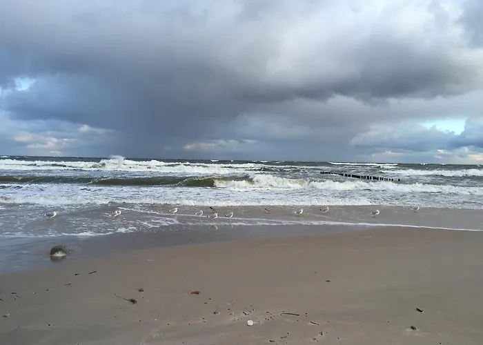 Mit Garten Prázdninový dům Štetín