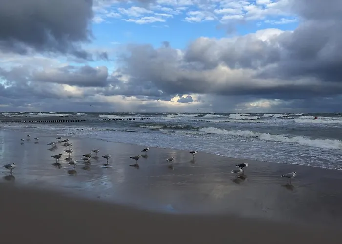 Mit Garten Prázdninový dům *